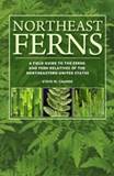 Northeast Ferns: A Field Guide to the Ferns and Fern Relatives o... Cover Art